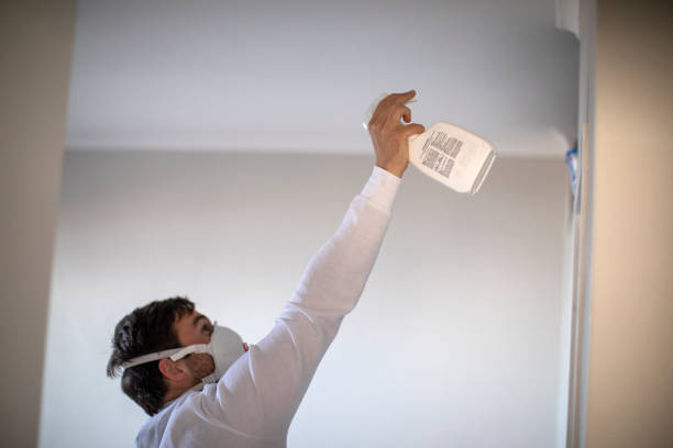 Best Mold Remediation  in Holdenville, OK