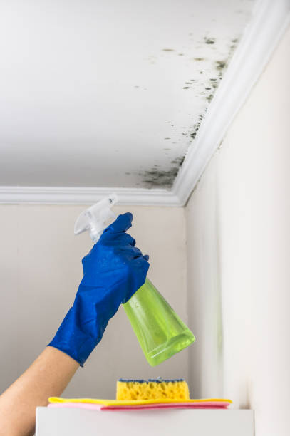 Best Crawl Space Mold Removal  in Holdenville, OK